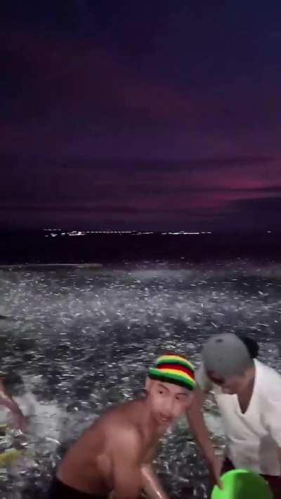 Millions of sardines mysteriously washed up on the shore in the Philippines, turning the coastline silver for miles