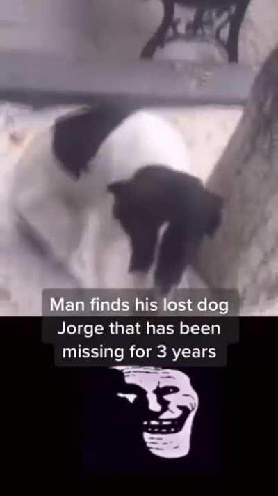 This is the thing can make my day