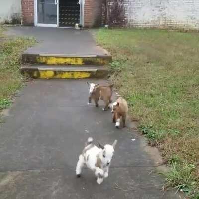 When the squad is finally ready To head out