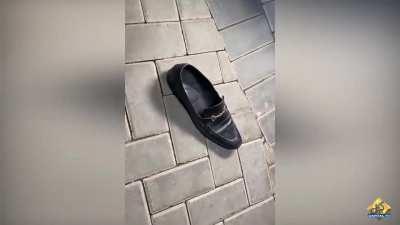 Shoe thrown at Rana Sanaullah's car followed by some hearty chants. It's a good start