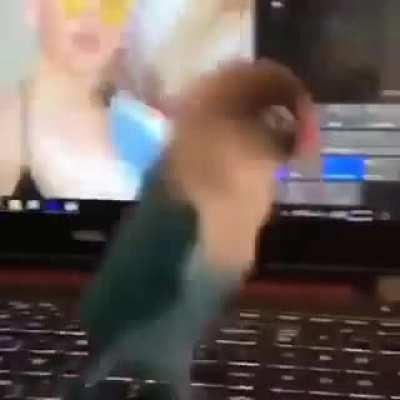 LOLDE BÖYLE YAPTIĞINI DÜŞÜNSENİZE .