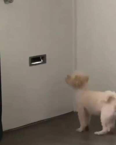 Who needs a mail shredder?