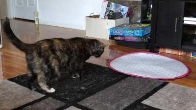 Streeeeeeetch..DAFUQ is that?!