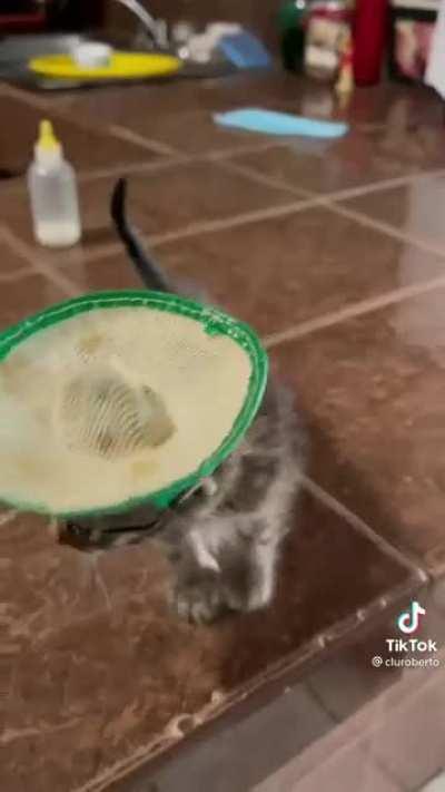 😭😭😭😭😭Mira mi compa