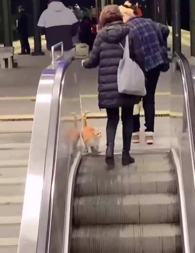 my attempts to climb the social ladder🥲