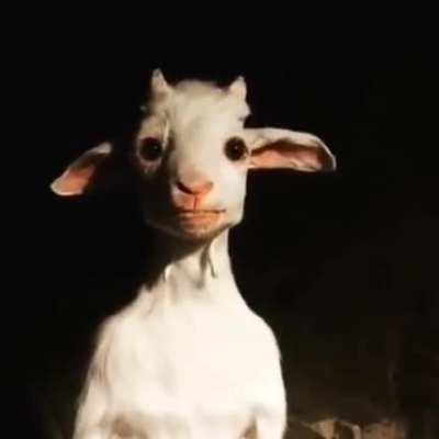 He has been caught engaging in some nefarious deeds.