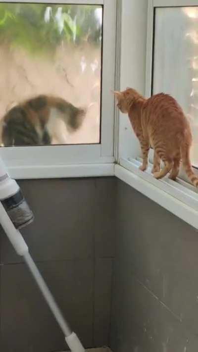 The Derp Is Out There