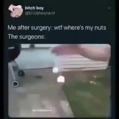 PedroDBR - Video #0924