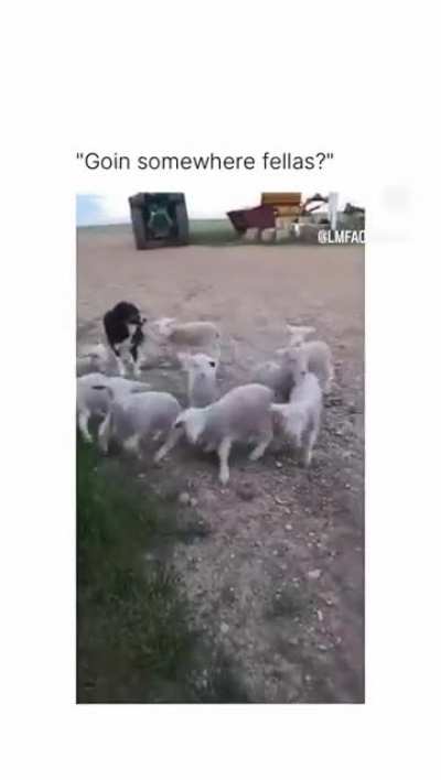 Bad behaviour, fellas