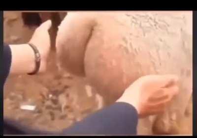 For the connoisseurs