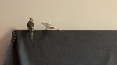 He’s just not that into you…