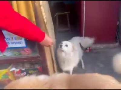 what stage of capitalism is this lmao