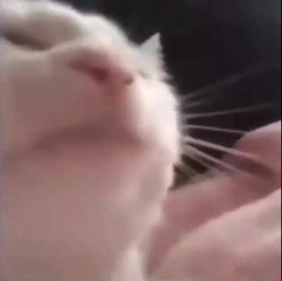 Me when I heard Praise God for the first time