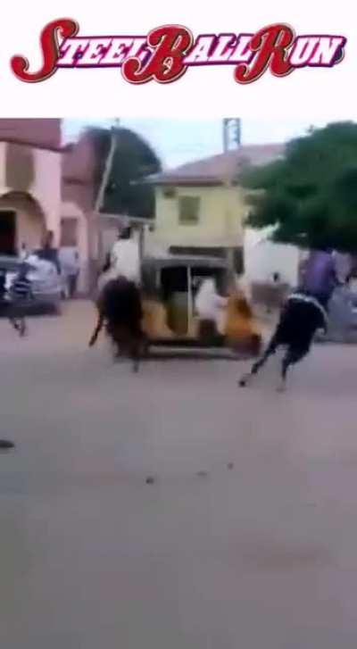 Steel Ball Run in real life