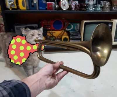 Brokentooth Meowarch