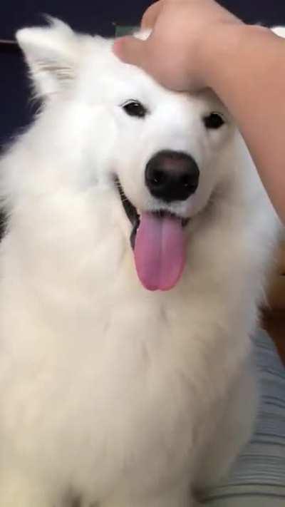 excuse me, i was enjoying that!