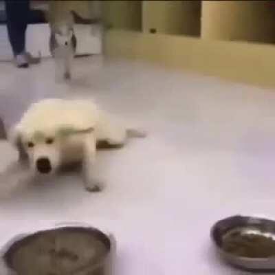 Shitpost 224 subs cuando salga otro episodio de webadas