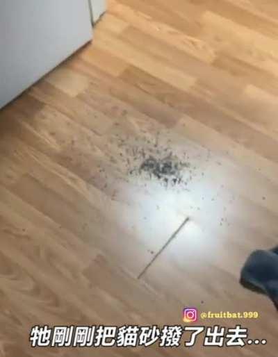 Cone of shame? I will repay you with a cone of sand