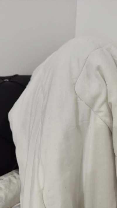 A day in the life of my shonks