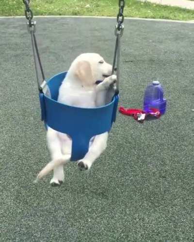 swingin' in the summer