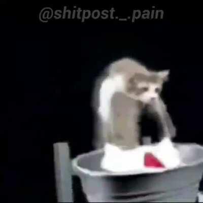 Las pibas: a la cocina Los pibes: vivo laik boss 😈👌