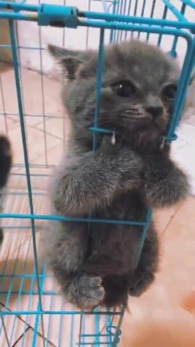 Please release me, let me go...