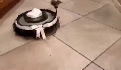 Tá linda a empregada