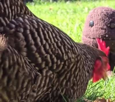 Poor Sackboy is waiting patiently to be given another chance by Sony