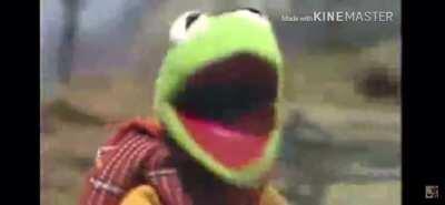 Rip Kermit the frog
