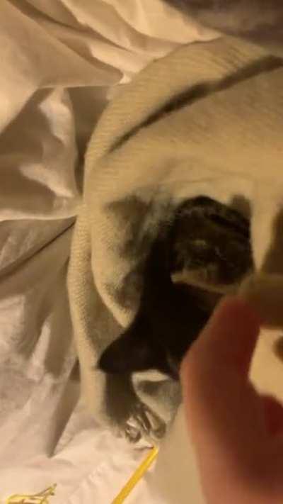 Tahi’s bedtime routine 😍