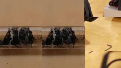 Me and the boys about to make something (source in the comments)