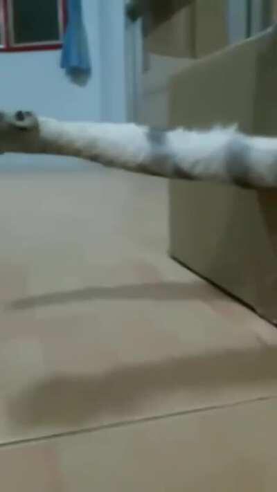 Reaper Vine with modern day graphics