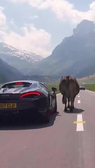 Road trip problems! 😅😂