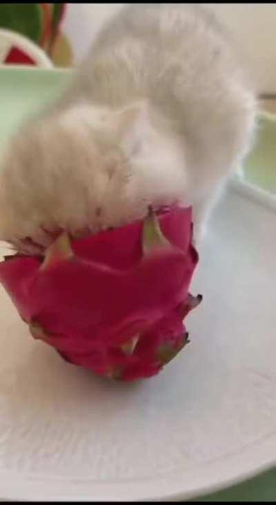 vIcIoUs mOnStEr cAuGhT dEvOuRiNg bLoOdY eNtRaiLs oF vIcTiM