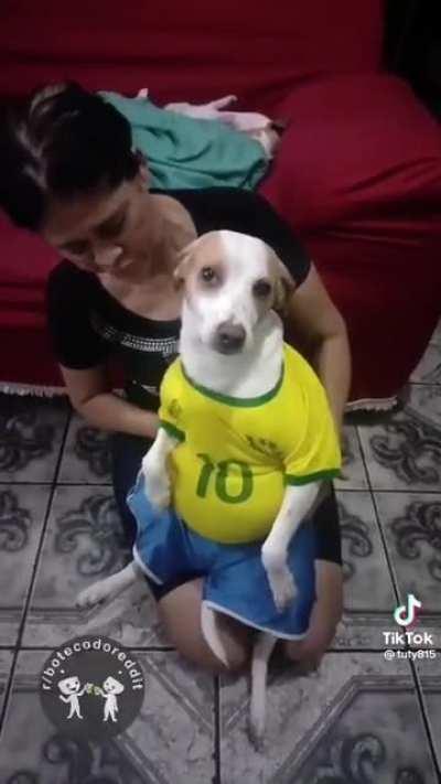 Poxa Nick, eu te amo 😅