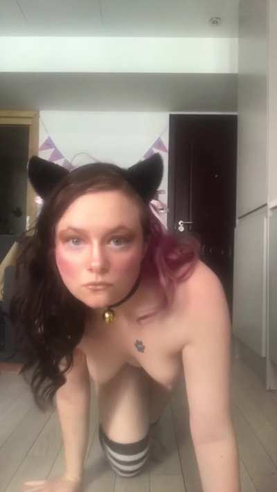 Would you give this kitty some milk? 