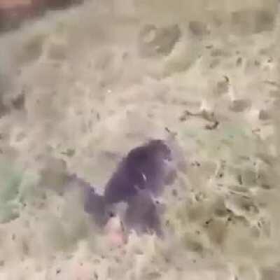 Just trying to be friends