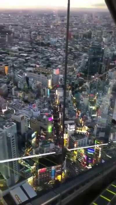 Birdseye view of Tokyo at sunset