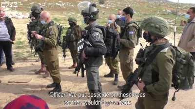 Israel destroys more than 3,000 trees in West Bank.