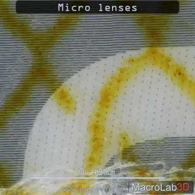 500 Ukrainian Hryvnia as seen through MacroLab3D.