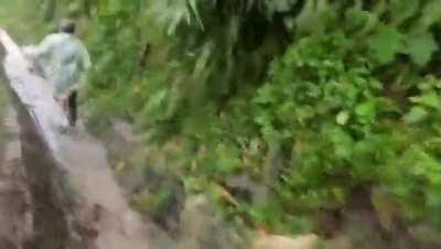 Landslide caught on camera