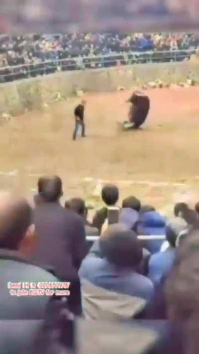 3ertg7h8dfu9sw0qweolfg