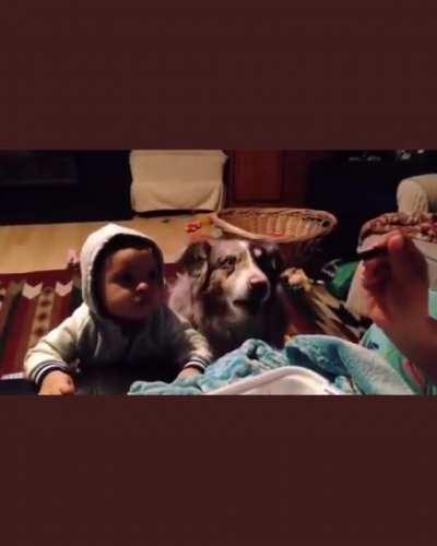 Mom & dad are trying to get their baby to say 