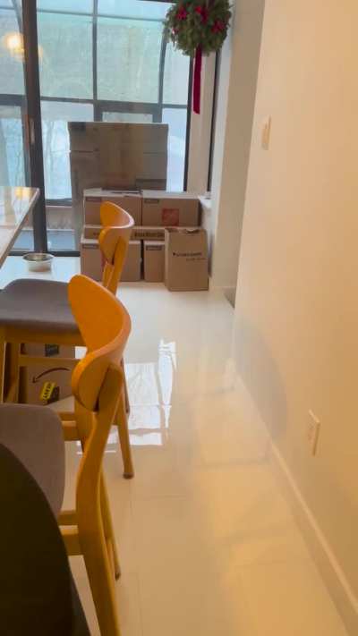 Our 17 Year Old Cat’s Morning Mouse Parade