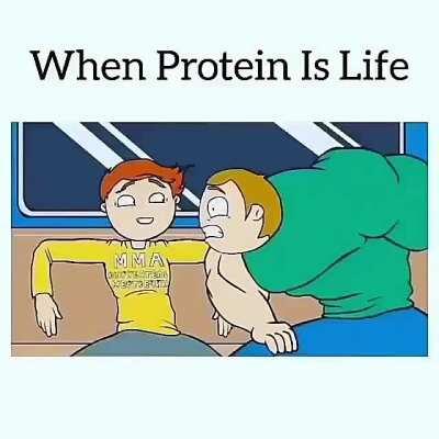 PROTEIN PROTEIN PROTEIN