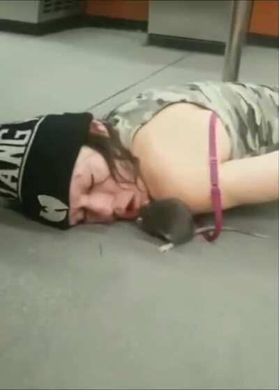 Rat using her mouth as a bathroom