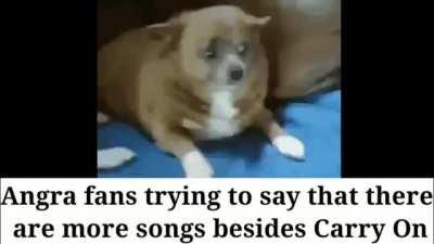 Fans of different pm bands be like: