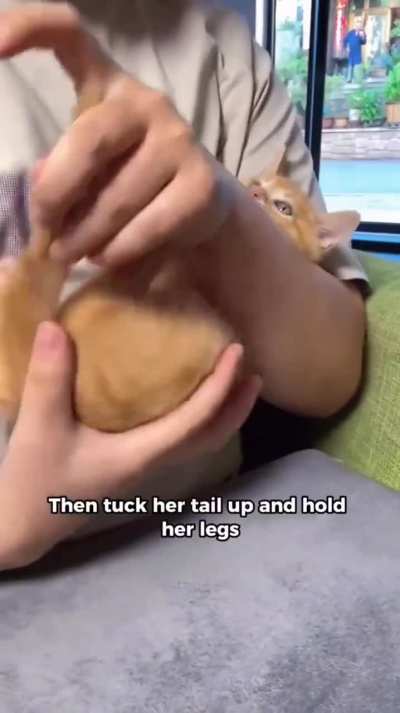 Orange parking tutorial