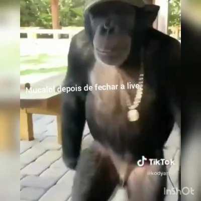 Muca com o dinheiro dos viewrs