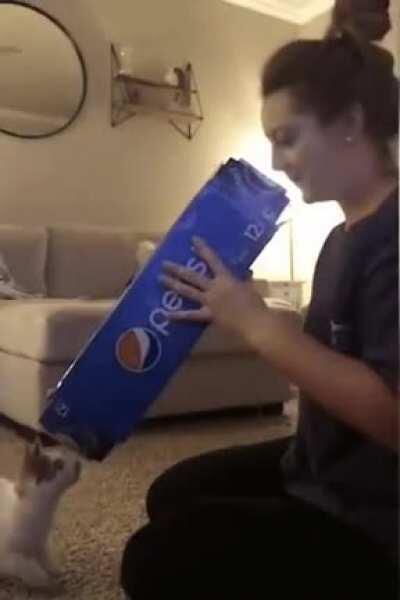 Aiming, aaaand, FIRE!